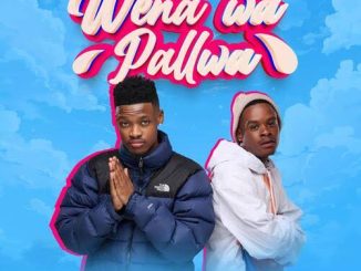 wena wa pallwa mp3 download